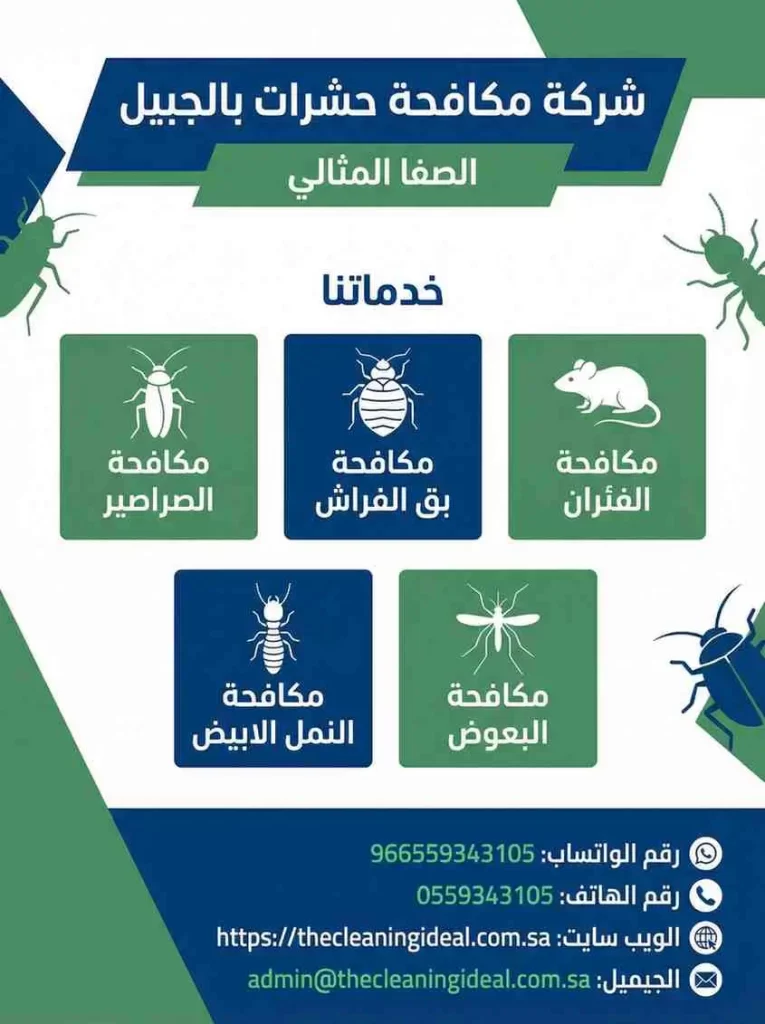 شركة مكافحة حشرات بالجبيل