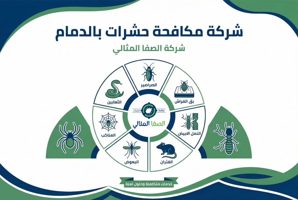 شركة مكافحة حشرات بالدمام
