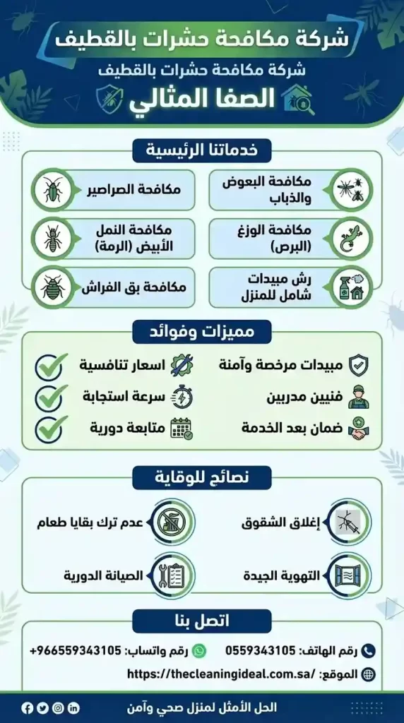 شركة مكافحة حشرات بالقطيف